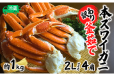 【先行予約】【訳あり 釜茹で ボイル 本ズワイガニ 2L 4肩（1肩当たり概ね220g～260g）合計約1kg 冷蔵】令和7年9月中旬以降、順次発送予定 ずわいがに カニ かに 蟹 チルド 蟹 カニ足 かに足 脚 肩 しゃぶしゃぶ かにすき かに鍋 鮮度や身入りなどを厳選した原料を使用 兵庫県 香美町 香住 柴山 15000円 日本海フーズ 07-119