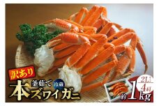 【訳あり 釜茹で ボイル 本ズワイガニ 2L 4肩（1肩当たり概ね220g～260g）合計約1kg 冷蔵】ずわいがに カニ かに 蟹 チルド 蟹 カニ足 かに足 脚 肩 しゃぶしゃぶ かにすき かに鍋 ボイル ズワイガニ ずわい蟹 ズワイ蟹 カニ脚 蟹脚 ずわい ズワイ 海鮮 魚介類 ご褒美 ごちそう 兵庫県 香美町 香住 柴山 15000円 日本海フーズ 07-119