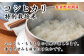 粘り・つや・香りが感じられるご飯を是非一度ご賞味ください。