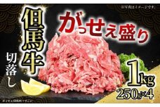【但馬牛がっせぇ盛り スライス切り落とし計1kg（250g×4） 冷凍】発送目安：入金確認後1ヶ月程度 配送日の指定はできません。 大人気 人気ふるさと納税 返礼品 おすすめ ランキング しゃぶ 牛肉 ステーキ しゃぶしゃぶ すき焼き 焼肉 但馬 神戸 兵庫県 但馬牛 27000円 72-23