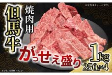 【但馬牛がっせぇ盛り 焼肉用計1kg（250g×4）冷凍】発送目安：入金確認後1ヶ月程度 配送日の指定はできません。 大人気 人気ふるさと納税 返礼品 おすすめ ランキング しゃぶ 牛肉 ステーキ しゃぶしゃぶ すき焼き 焼肉 但馬 神戸 兵庫県 但馬牛 27000円 72-24
