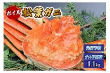 【先行予約】【ボイル松葉がに1.1kg かにの身入りかにみそ 三杯酢付 冷蔵】令和7年11月中旬以降順次配送予定 松葉 かに 蟹 カニ かにみそ 香住 新鮮 国産 鍋 かにすき 脚 足 爪 身 肩 大人気  兵庫県 香美町 香住 柴山 ズワイガニ 200000円 マルヨ食品 マルヨダイレクト 17-32