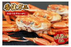 【先行予約】【香住ガニ 浜茹で紅ずわいがに 500g×3匹 1.5kg以上 冷蔵】令和7年9月中旬以降順次発送予定  紅ズワイガニ 紅 香住ガニ かに 蟹 カニ 香住 新鮮 国産 鍋 かにすき 脚 足 爪 身 肩 大人気  兵庫県 香美町 香住 柴山 ズワイガニ 訳あり お得 27000円 マルヨ食品 マルヨダイレクト 17-34