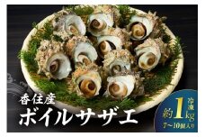 【兵庫県香住産 ボイルサザエ 約1kg（7～10個） 冷凍】国産 さざえ 栄螺 海鮮 新鮮 鮮度抜群 酒の肴 おつまみ おかず 磯 加熱済み 簡単 手軽に味わう磯の香り コリコリ食感 香住の海の恵み 夏休み BBQ バーベキュー キャンプ お盆 海 海水浴 日本海 おすすめ 兵庫県 香美町 香住 宿院商店 33-33