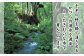千年の時を経て湧き出るかつらの湧水を源流としたきれいな水で育まれています。
