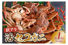 【先行予約】【兵庫県香住産 訳あり 活 セコガニ 1kg（6～8匹） 冷蔵】令和7年11月以降、水揚げ次第順次発送予定 国産 カニの本場 兵庫県香美町 香住漁港 せこがに かに 蟹 セコ 訳あり国産 刺身 しゃぶしゃぶ 焼きガニ 鍋 カニ鍋 かにすき 脚 足 爪 身 肩 ふるさと納税 返礼品 おすすめ ランキング 大人気 人気 兵庫県 香美町 香住 日本海 宿院商店 19000円 33-41