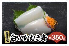 【兵庫県香住産 刺身用白いかむき身 約350g 冷凍】ご入金確認後、水揚げ次第順次発送予定  国産 山陰 いか イカ 白いか 剣先イカ むき身 透き通る美しさ 甘みたっぷりの上品な味わい とろけるような食感 刺身 新鮮 鮮度抜群 酒の肴 おつまみ 人気 ふるさと納税 おすすめ 返礼品 兵庫県 香美町 香住 宿院商店 22000円 33-32