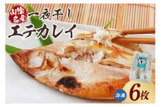 【山陰名産エテカレイ一夜干し 6枚（冷凍）】入金確認後、順次発送 産地直送 鮮度抜群 エテカレイ 干物 下処理不要 BBQ 大人気 ふるさと納税 兵庫県 香美町 香住 山米鮮魚 13000円 74-11