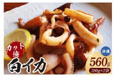 【カット済・やわらか白イカ（生凍結）280g×2袋（冷凍）】ご入金確認後、順次発送 下処理済み 産地直送 鮮度抜群 白いか いか イカ 大人気 ふるさと納税 兵庫県 香美町 香住 山米鮮魚 20000円 74-20