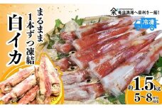 【白イカ 約1.5kg（5-8杯程度入）冷凍】ご入金確認後、順次発送予定 獲れたまま バラ凍結 鮮度抜群 いか イカ 白いか 白イカ 大人気 おすすめ 返礼品 ふるさと納税 香美町 香住 山米鮮魚 27000円 74-06