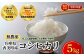 香美町産コシヒカリは、炊きあがったお米の粒立ちが格別。しかも、ふっくらでもちもちの食感を楽しめ、香りと甘みも非常に豊かです。