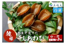 【干しあわび 5個入り 中サイズ 冷凍】発送目安：入金確認後2週間以内 国産 香住 山陰 アワビ 鮑 あわび 乾燥 乾燥あわび 干し鮑 中華料理 高級食材 縁起物 兵庫県 香美町 美嶋丸 20-17