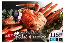 【先行予約】【カネニの浜茹で柴山がに 柴山シルバータグ付き ボイル後1.15kg以上】令和7年11月以降、水揚げ次第順次発送予定 冷蔵 高級 かにすき 焼きガニ カニ ボイル 兵庫県 香美町 香住 柴山 カネニ 06-23