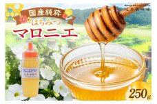 【国産純粋 マロニエはちみつ 250g ポリ容器】国産 純粋 マロニエ はちみつ ハチミツ 蜂蜜 栃の木 やさしい 香り まろやか パン ヨーグルト おすすめ 兵庫県 香美町 辻井養蜂場 81-01