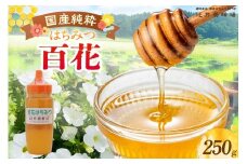 【国産純粋 百花はちみつ 250g ポリ容器】国産 純粋 百花 はちみつ ハチミツ 蜂蜜 紅茶 パン ヨーグルト おすすめ 兵庫県 香美町 辻井養蜂場 81-02