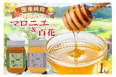 【国産純粋 マロニエはちみつ 百花はちみつ 各500g 計1kg 瓶】国産 純粋 マロニエ 百花 はちみつ ハチミツ 蜂蜜 栃の木 紅茶 パン ヨーグルト おすすめ 兵庫県 香美町 辻井養蜂場 81-06