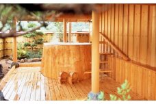 湯村温泉 朝野家 露天風呂付特別室 一泊二食付宿泊券(2名様ペア・平日限定)