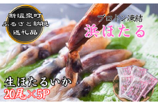 プロトン凍結浜ほたる5P入