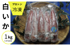 冷凍白いか1kg入(5杯前後)
