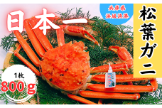 松葉ガニの本場より プロ茹で松葉ガニ(冷凍)　1枚　約800g