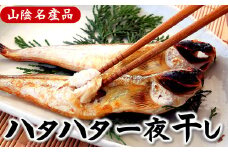 山陰の大型ハタハタ一夜干し　10匹入り
