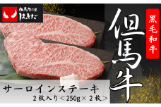 但馬牛サーロインステーキ2枚入り＜250g×2＞