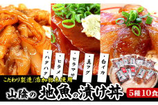 ＜兵庫県新温泉町＞自家製「山陰の海鮮漬け丼10食」セット　