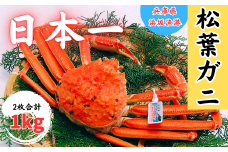 松葉ガニの本場よりプロ茹で松葉ガニ(冷凍)約500g×2枚