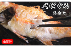 のどぐろ生冷凍と干物の詰合せ　兵庫県新温泉町