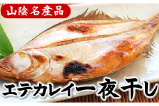 山陰名産エテカレイ一夜干し　6枚　兵庫県新温泉町　