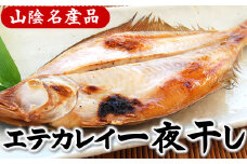 山陰名産エテカレイ一夜干し　6枚　兵庫県新温泉町　