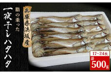 美味い、脂の乗った浜坂産一夜干しハタハタ1.0kg