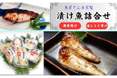 魚屋さん自家製　漬け魚詰合せセット粋(西京漬けと塩麹漬け)兵庫県新温泉町　