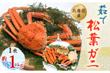 松葉ガニの本場よりプロ茹で松葉ガニ(冷凍)　1枚　約1kg