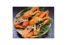 浜坂産タグ付き茹で松葉かに(2～3枚　1.6～1.8kg)