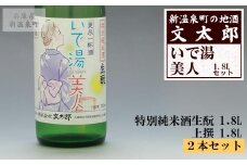 [新温泉町の地酒]いで湯美人「特別純米酒生もと/上撰」セット(1.8L×2本)