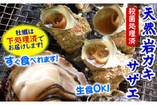 旬もの山陰の岩ガキ・サザエ詰合せ(大きさにより各6～10個入)牡蠣は下処理してお届けします【1114073】