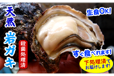 旬もの　山陰の天然岩ガキ詰合せ(大きさにより5～7個入)　牡蠣は下処理してお届けします【1114074】