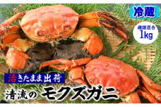 天然　活モクズガニ　約1kg　兵庫県新温泉町　【1243508】
