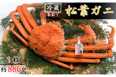 松葉ガニの本場より活〆茹でたてを即出荷　釜茹で松葉ガニ(冷蔵)　1枚　約800g