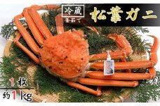 松葉ガニの本場より活〆茹でたてを即出荷　釜茹で松葉ガニ(冷蔵)　1枚　約1kg【1040269】