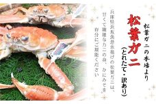 松葉ガニの本場・兵庫県新温泉町　とれたて　訳あり・松葉ガニ(釜茹で・冷蔵)　1～2枚入【1149854】