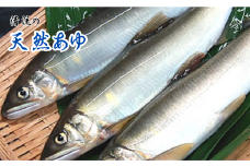 清流の天然あゆ(冷凍)食べやすいサイズ　8尾　兵庫県新温泉町産　【1346411】