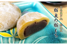 但馬菓子処　総本家　栃泉の栃もち　こしあん　12個入り　冷凍品