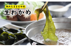 とれたままを冷凍　漁師中村さんが育てた柔らかく歯ごたえ抜群　生わかめ(冷凍)【1408230】