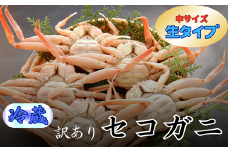 松葉ガニの本場　生セコガニ(冷蔵)中サイズ　10枚(訳あり)　兵庫県新温泉町　【1132206】