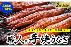 職人の手焼き　活〆うなぎ蒲焼　2尾入り(計500g)　国産【1423346】