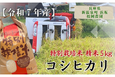 ＜令和7年産＞特別栽培米　新温泉町浜坂産　松岡農園のコシヒカリ　5kg