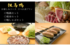 ＜毎月定期便＞兵庫県産「但馬鴨」お楽しみコース3～4人前全3回【4055908】