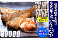 小さいサイズのハタハタ　計1.2kg(300g×4パック)　下処理済み【1453858】